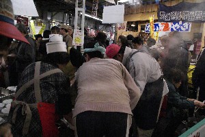 2009/01/10-11 �R�`�����̎q�`������_33