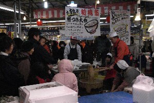 2009/01/10-11 �R�`�����̎q�`������_61