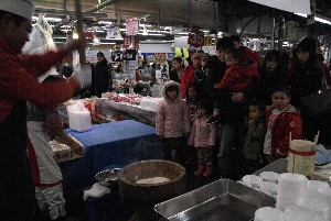 2009/01/10-11 �R�`�����̎q�`������_67