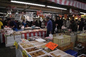 2009/01/10-11 �R�`�����̎q�`������_90