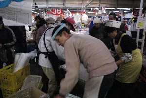 2009/01/10-11 �R�`�����̎q�`������_8