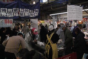 2009/01/10-11 �R�`�����̎q�`������_17