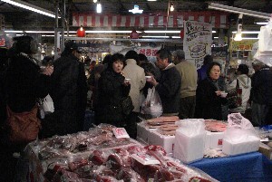 2009/01/10-11 �R�`�����̎q�`������_27