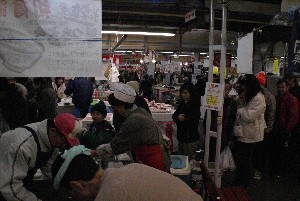 2009/01/10-11 �R�`�����̎q�`������_41