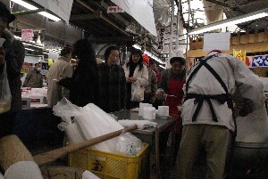 2009/01/10-11 �R�`�����̎q�`������_44