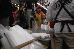 2009/01/10-11 �R�`�����̎q�`������_50