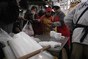 2009/01/10-11 �R�`�����̎q�`������_51