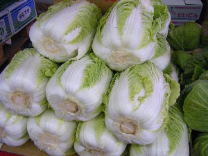 2009/01/17 ���T�̔����ł�_2