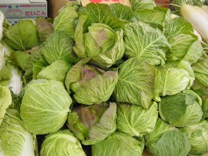 2009/01/17 ���T�̔����ł�_3