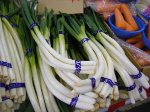 2009/01/17 ���T�̔����ł�_4