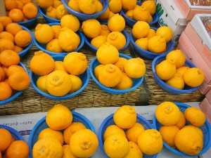 2009/01/17 ���T�̔����ł�_12