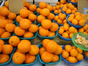 2009/01/17 ���T�̔����ł�_15