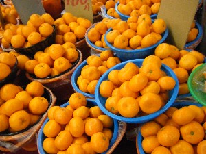 2009/01/17 ���T�̔����ł�_16