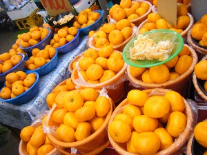 2009/01/17 ���T�̔����ł�_17