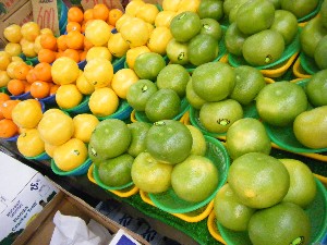 2009/01/17 ���T�̔����ł�_19