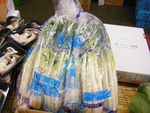 2009/01/17 ���T�̔����ł�_21