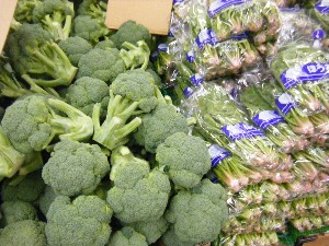 2009/01/17 ���T�̔����ł�_23