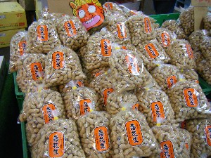 2009/01/17 ���T�̔����ł�_24