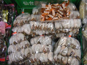2009/01/17 ���T�̔����ł�_25
