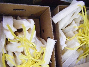 2009/01/17 ���T�̔����ł�_29