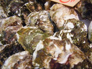 2009/01/17 ���T�̔����ł�_38