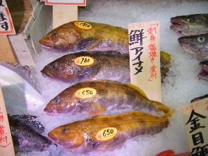 2009/01/17 ���T�̔����ł�_39
