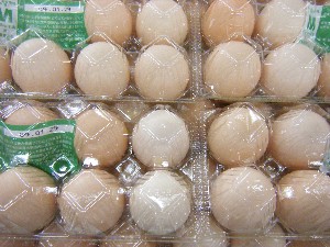 2009/01/17 ���T�̔����ł�_42