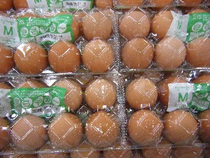 2009/01/17 ���T�̔����ł�_43