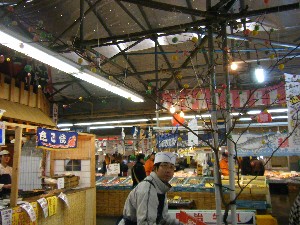 2009/01/17 ���T�̔����ł�_1