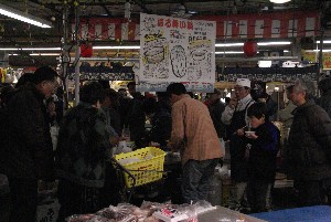 2009/01/18 ���̊ېʂ���̂Ђ���2_6