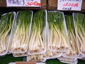 2009/01/24 ���T�̔����ł�_2