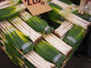 2009/01/24 ���T�̔����ł�_6