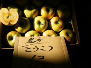 2009/01/24 ���T�̔����ł�_11