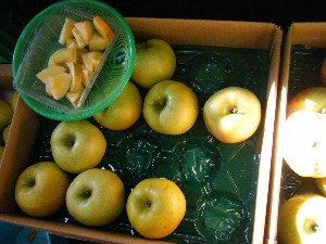 2009/01/24 ���T�̔����ł�_12