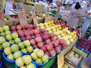 2009/01/24 ���T�̔����ł�_13