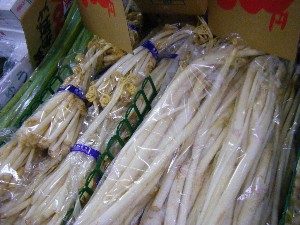 2009/01/24 ���T�̔����ł�_22