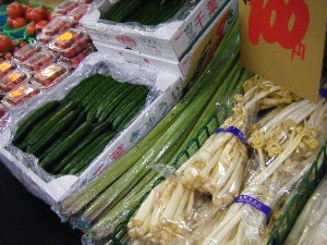 2009/01/24 ���T�̔����ł�_23