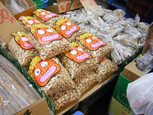 2009/01/24 ���T�̔����ł�_26