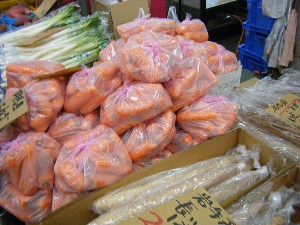 2009/01/24 ���T�̔����ł�_27