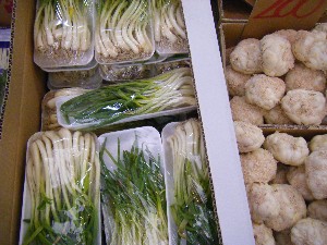 2009/01/24 ���T�̔����ł�_35