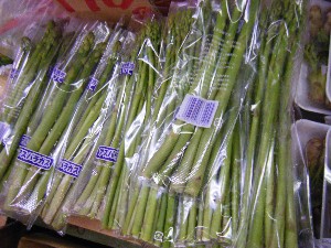 2009/01/24 ���T�̔����ł�_36