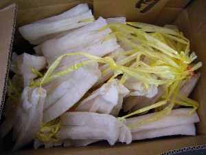 2009/01/24 ���T�̔����ł�_41