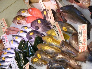 2009/01/24 ���T�̔����ł�_47