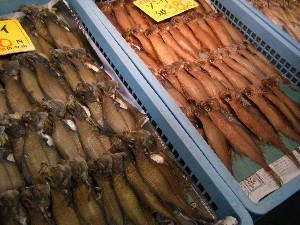 2009/01/24 ���T�̔����ł�_48