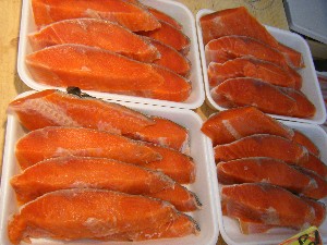 2009/01/24 ���T�̔����ł�_64