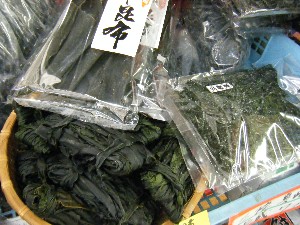 2009/01/24 ���T�̔����ł�_65