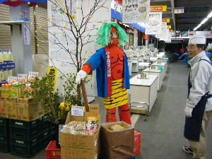 2009/01/24 ���T�̔����ł�_1