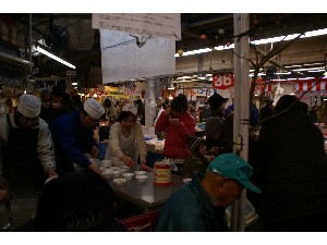 2009/01/25 �ɂ�ʏ`������_19