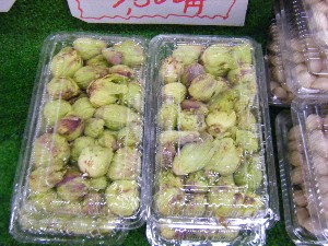 2009/01/31 ���T�̔����ł�_7