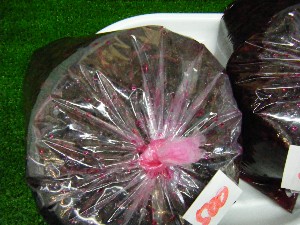 2009/01/31 ���T�̔����ł�_8